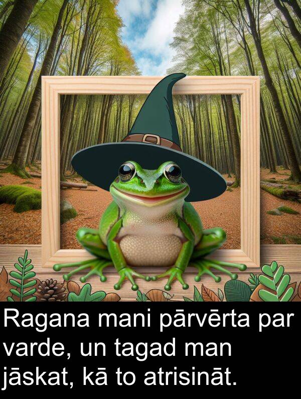 jāskat: Ragana mani pārvērta par varde, un tagad man jāskat, kā to atrisināt.