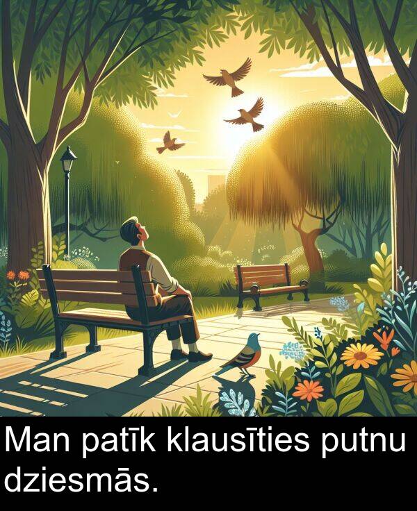 patīk: Man patīk klausīties putnu dziesmās.