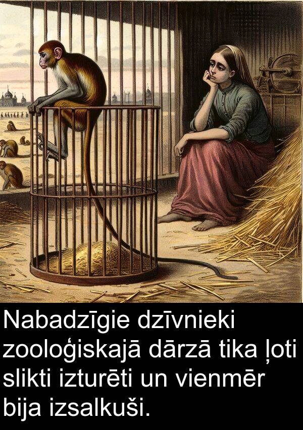slikti: Nabadzīgie dzīvnieki zooloģiskajā dārzā tika ļoti slikti izturēti un vienmēr bija izsalkuši.