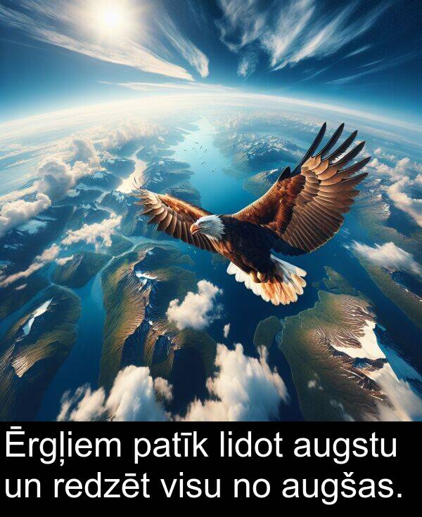 patīk: Ērgļiem patīk lidot augstu un redzēt visu no augšas.