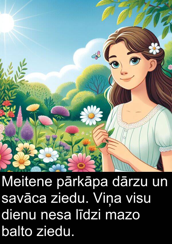 ziedu: Meitene pārkāpa dārzu un savāca ziedu. Viņa visu dienu nesa līdzi mazo balto ziedu.