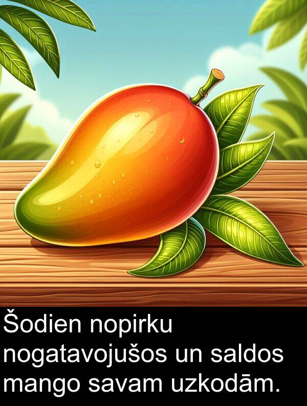 saldos: Šodien nopirku nogatavojušos un saldos mango savam uzkodām.