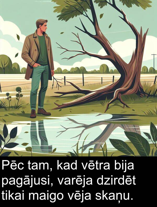 pagājusi: Pēc tam, kad vētra bija pagājusi, varēja dzirdēt tikai maigo vēja skaņu.