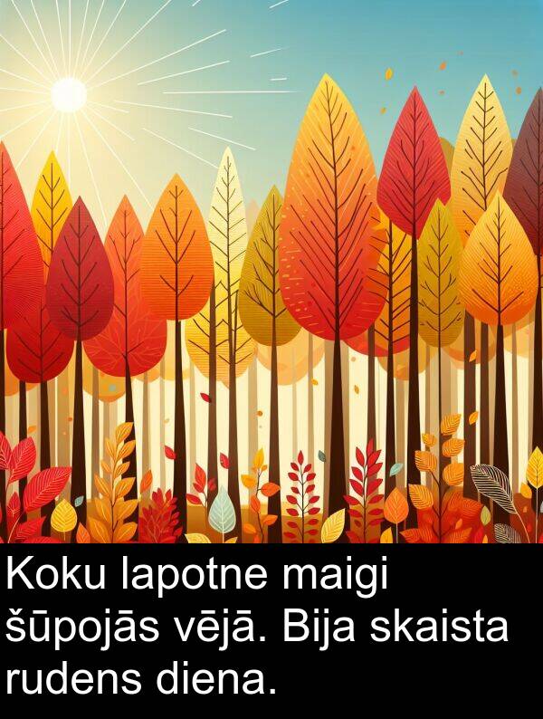 maigi: Koku lapotne maigi šūpojās vējā. Bija skaista rudens diena.