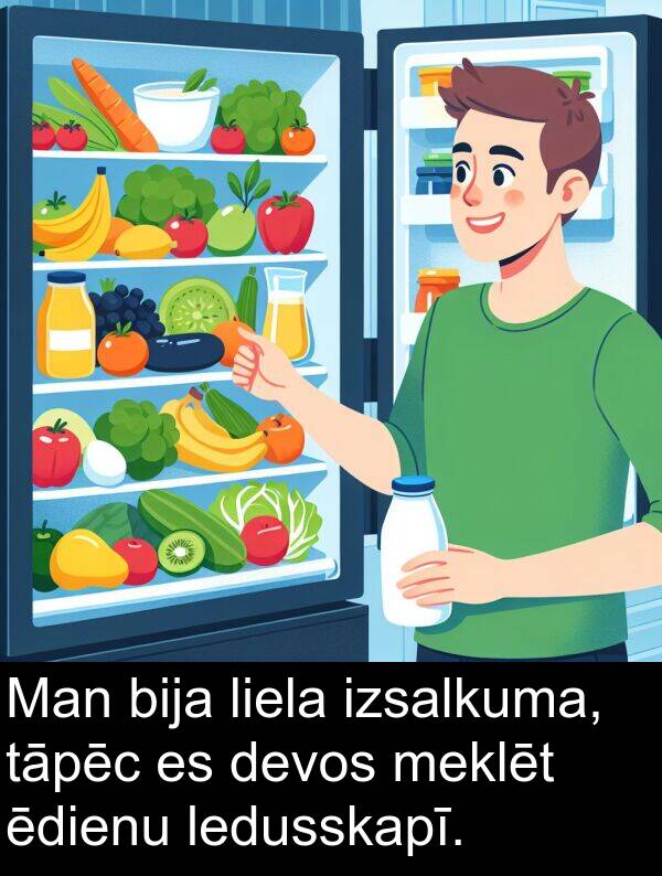 ēdienu: Man bija liela izsalkuma, tāpēc es devos meklēt ēdienu ledusskapī.