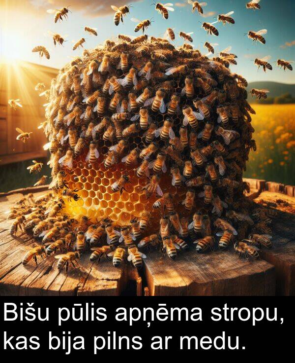 stropu: Bišu pūlis apņēma stropu, kas bija pilns ar medu.