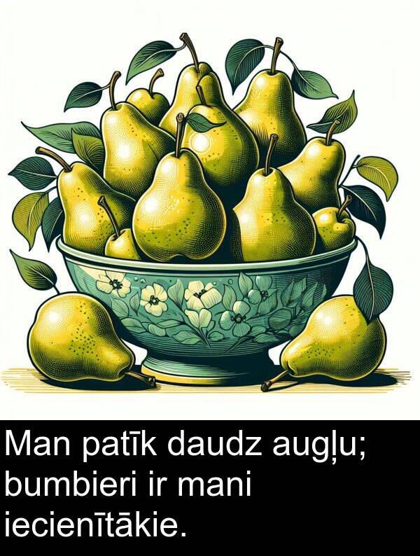 patīk: Man patīk daudz augļu; bumbieri ir mani iecienītākie.