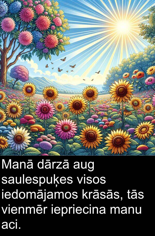 krāsās: Manā dārzā aug saulespuķes visos iedomājamos krāsās, tās vienmēr iepriecina manu aci.