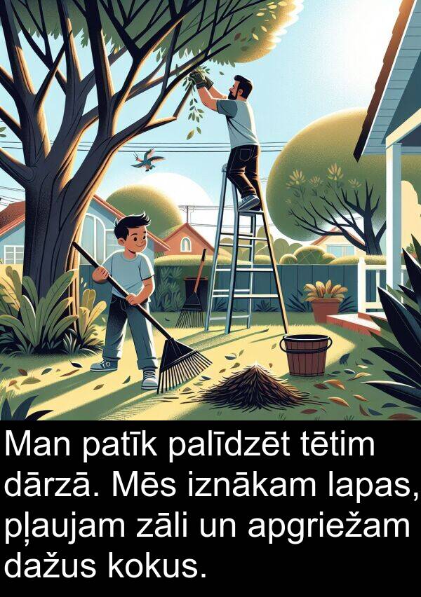 kokus: Man patīk palīdzēt tētim dārzā. Mēs iznākam lapas, pļaujam zāli un apgriežam dažus kokus.