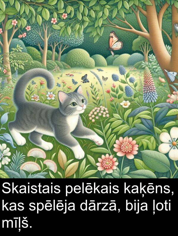 kaķēns: Skaistais pelēkais kaķēns, kas spēlēja dārzā, bija ļoti mīļš.