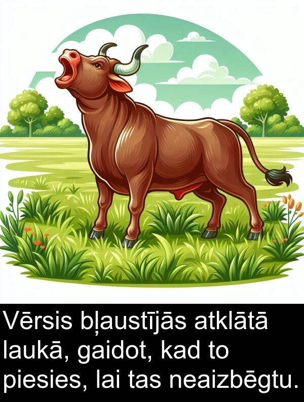 neaizbēgtu: Vērsis bļaustījās atklātā laukā, gaidot, kad to piesies, lai tas neaizbēgtu.