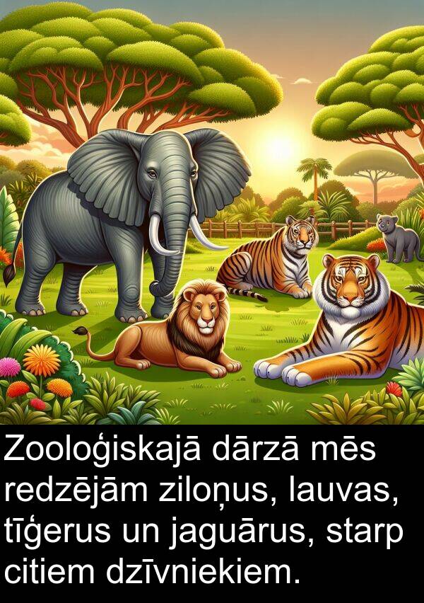 jaguārus: Zooloģiskajā dārzā mēs redzējām ziloņus, lauvas, tīģerus un jaguārus, starp citiem dzīvniekiem.