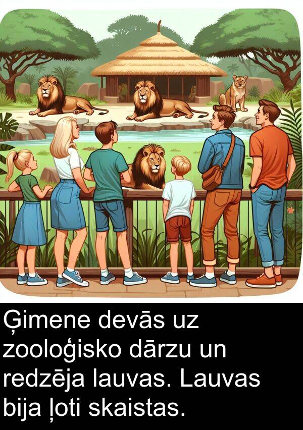 skaistas: Ģimene devās uz zooloģisko dārzu un redzēja lauvas. Lauvas bija ļoti skaistas.