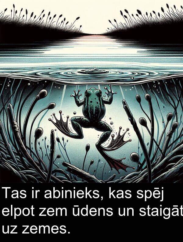 abinieks: Tas ir abinieks, kas spēj elpot zem ūdens un staigāt uz zemes.