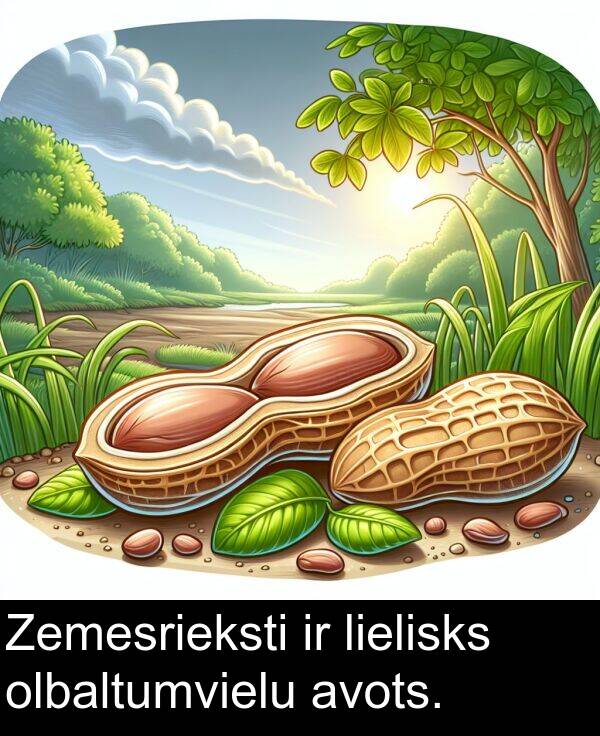 olbaltumvielu: Zemesrieksti ir lielisks olbaltumvielu avots.
