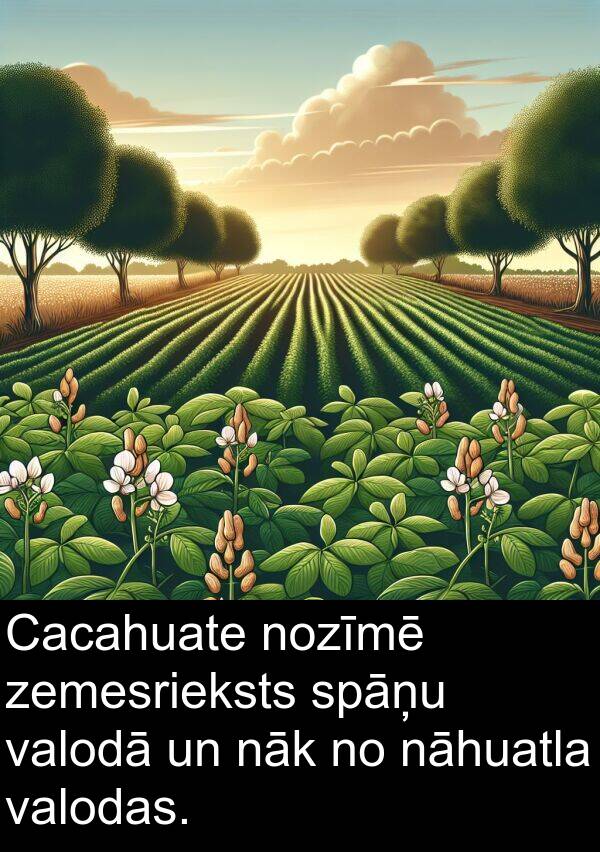 nāk: Cacahuate nozīmē zemesrieksts spāņu valodā un nāk no nāhuatla valodas.
