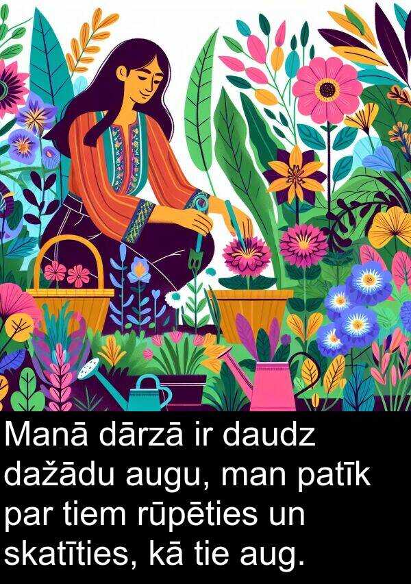 rūpēties: Manā dārzā ir daudz dažādu augu, man patīk par tiem rūpēties un skatīties, kā tie aug.