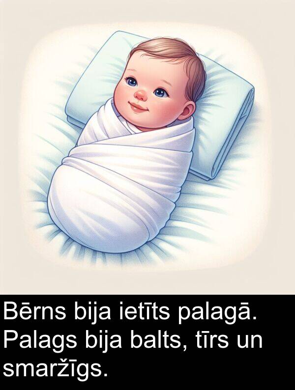 palagā: Bērns bija ietīts palagā. Palags bija balts, tīrs un smaržīgs.
