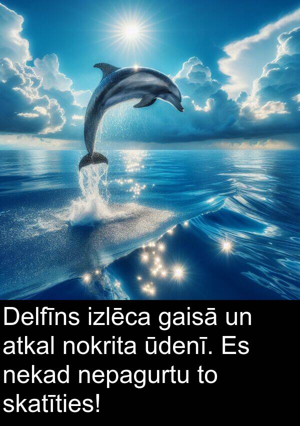 gaisā: Delfīns izlēca gaisā un atkal nokrita ūdenī. Es nekad nepagurtu to skatīties!