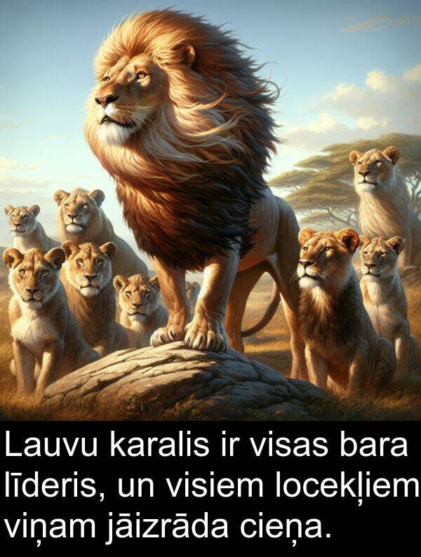locekļiem: Lauvu karalis ir visas bara līderis, un visiem locekļiem viņam jāizrāda cieņa.