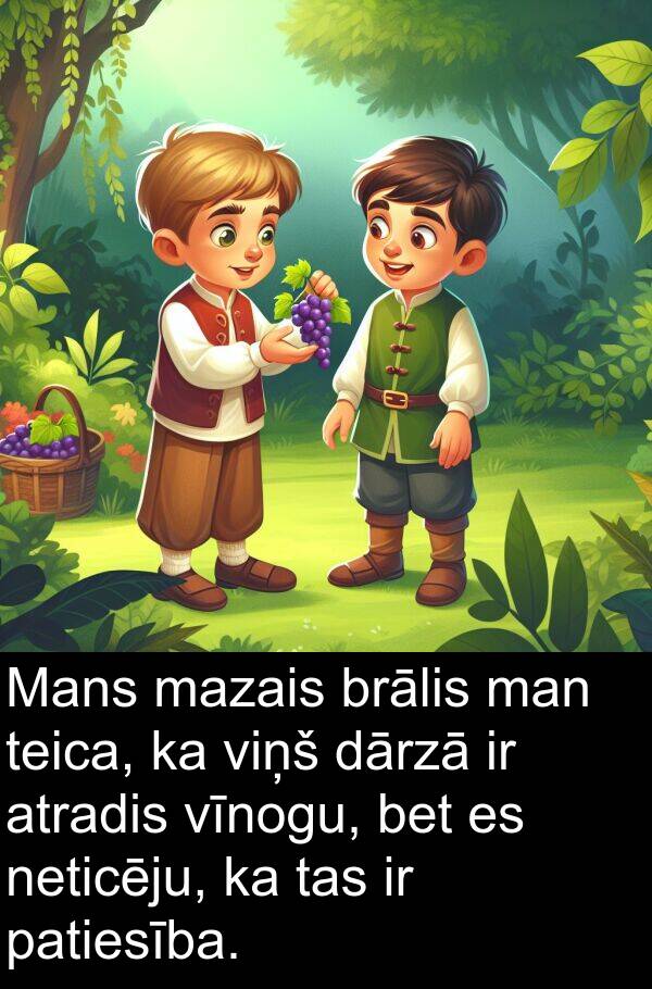 atradis: Mans mazais brālis man teica, ka viņš dārzā ir atradis vīnogu, bet es neticēju, ka tas ir patiesība.