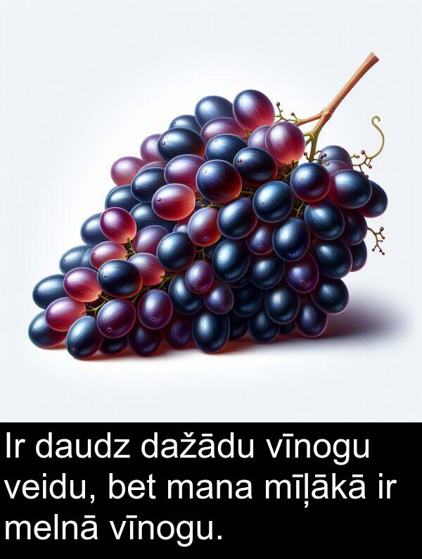 vīnogu: Ir daudz dažādu vīnogu veidu, bet mana mīļākā ir melnā vīnogu.