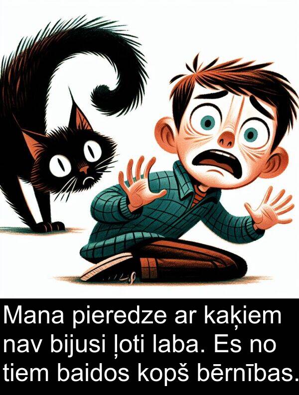 kopš: Mana pieredze ar kaķiem nav bijusi ļoti laba. Es no tiem baidos kopš bērnības.