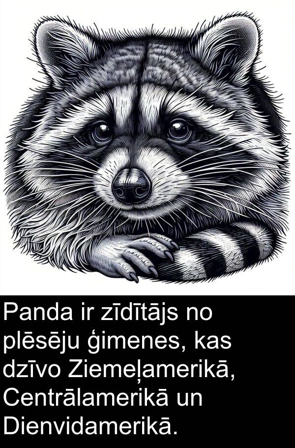 plēsēju: Panda ir zīdītājs no plēsēju ģimenes, kas dzīvo Ziemeļamerikā, Centrālamerikā un Dienvidamerikā.