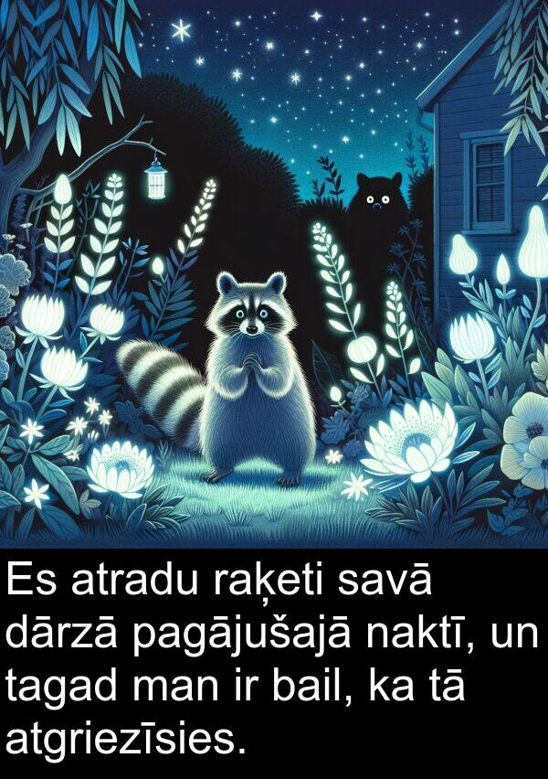 pagājušajā: Es atradu raķeti savā dārzā pagājušajā naktī, un tagad man ir bail, ka tā atgriezīsies.
