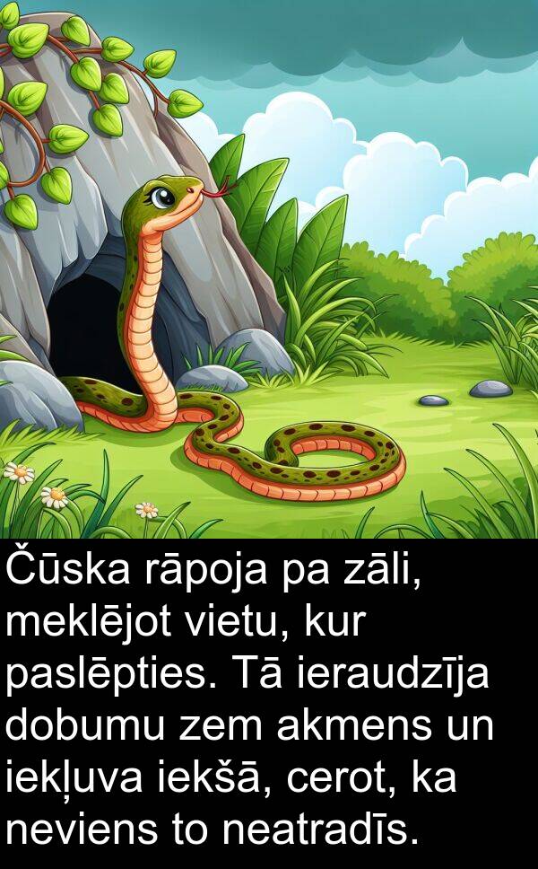 kur: Čūska rāpoja pa zāli, meklējot vietu, kur paslēpties. Tā ieraudzīja dobumu zem akmens un iekļuva iekšā, cerot, ka neviens to neatradīs.