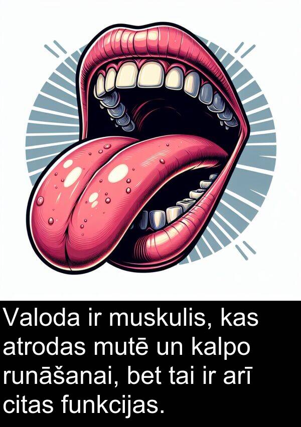 kalpo: Valoda ir muskulis, kas atrodas mutē un kalpo runāšanai, bet tai ir arī citas funkcijas.
