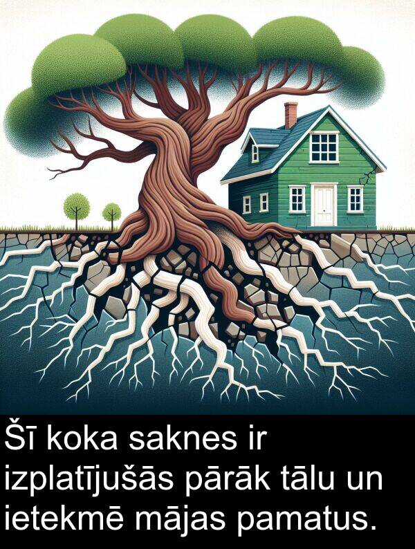 koka: Šī koka saknes ir izplatījušās pārāk tālu un ietekmē mājas pamatus.