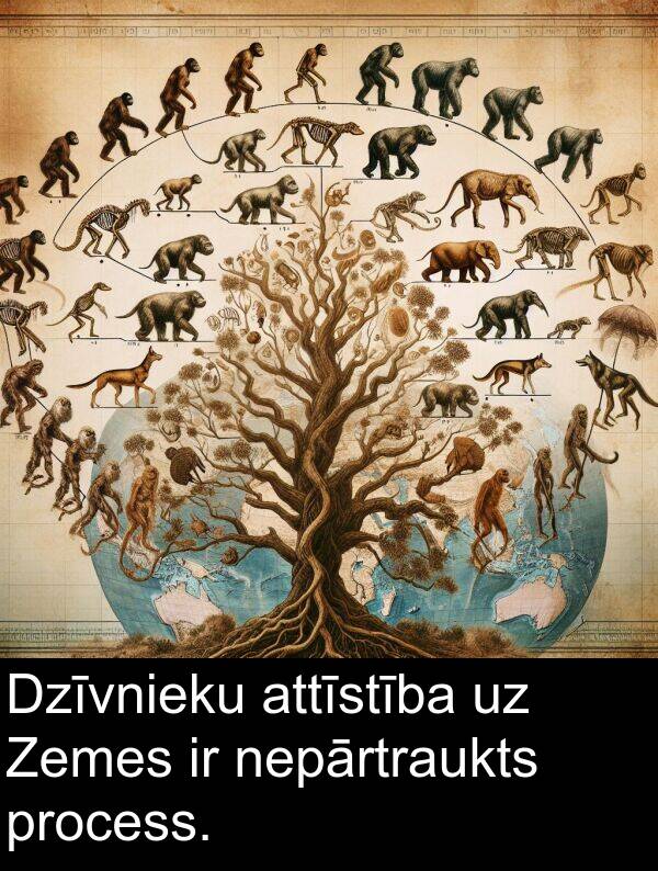 nepārtraukts: Dzīvnieku attīstība uz Zemes ir nepārtraukts process.