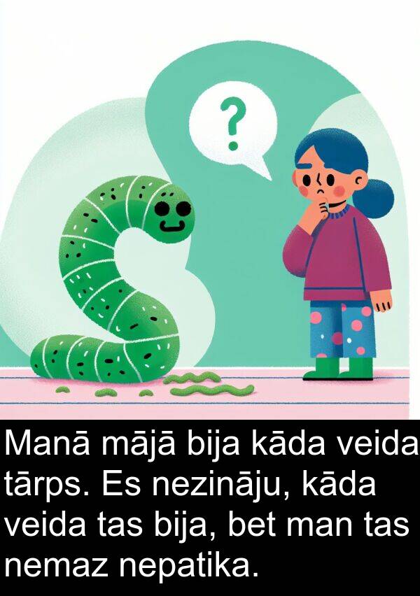 mājā: Manā mājā bija kāda veida tārps. Es nezināju, kāda veida tas bija, bet man tas nemaz nepatika.
