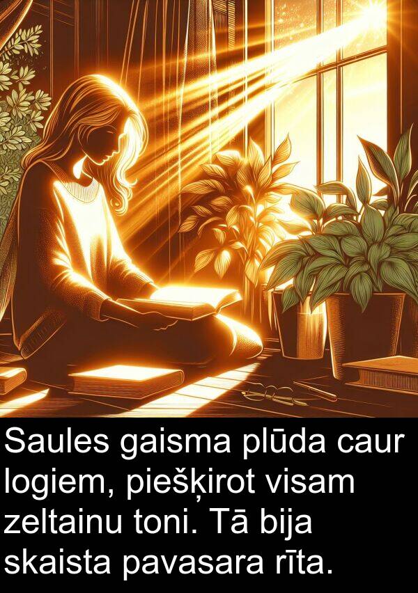 pavasara: Saules gaisma plūda caur logiem, piešķirot visam zeltainu toni. Tā bija skaista pavasara rīta.