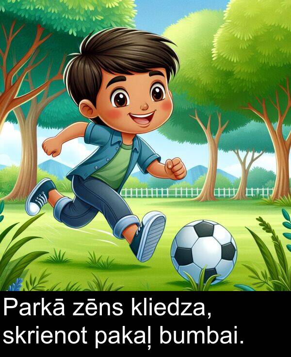 zēns: Parkā zēns kliedza, skrienot pakaļ bumbai.