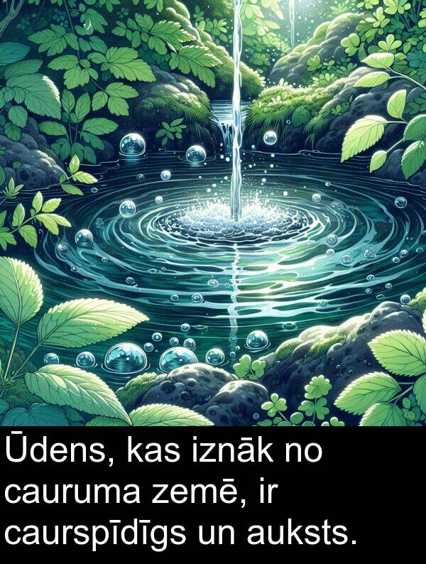 zemē: Ūdens, kas iznāk no cauruma zemē, ir caurspīdīgs un auksts.