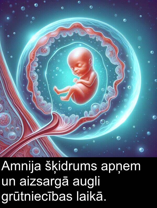 šķidrums: Amnija šķidrums apņem un aizsargā augli grūtniecības laikā.