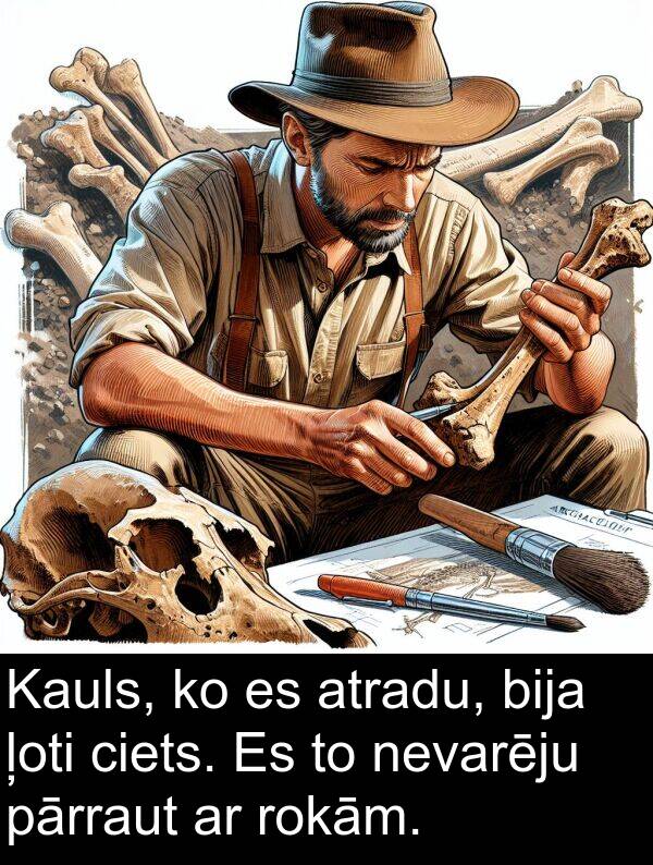 atradu: Kauls, ko es atradu, bija ļoti ciets. Es to nevarēju pārraut ar rokām.