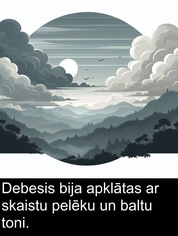 pelēku: Debesis bija apklātas ar skaistu pelēku un baltu toni.
