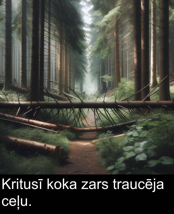 koka: Kritusī koka zars traucēja ceļu.