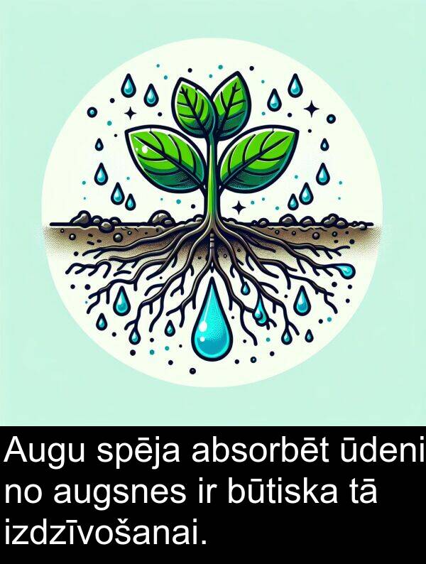 absorbēt: Augu spēja absorbēt ūdeni no augsnes ir būtiska tā izdzīvošanai.