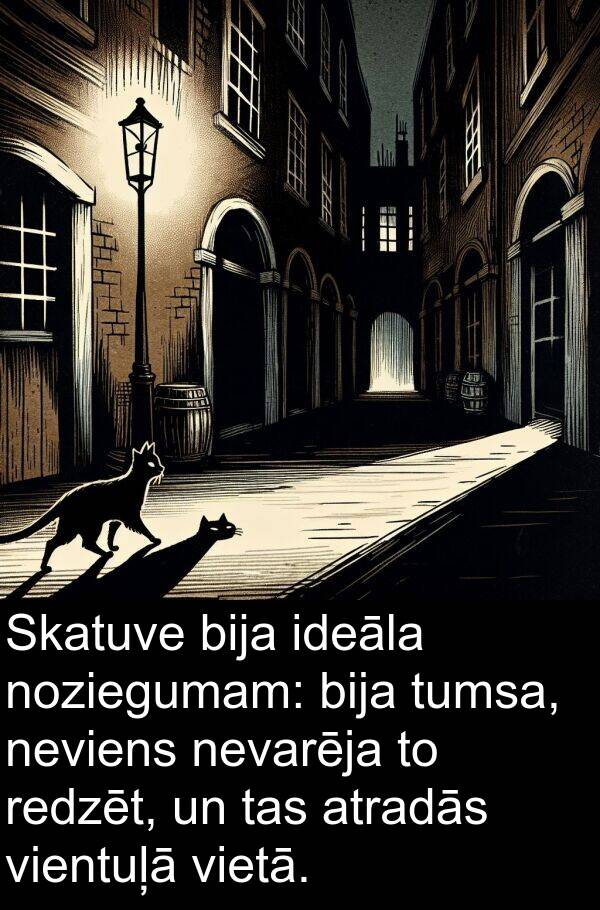 ideāla: Skatuve bija ideāla noziegumam: bija tumsa, neviens nevarēja to redzēt, un tas atradās vientuļā vietā.