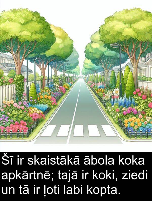kopta: Šī ir skaistākā ābola koka apkārtnē; tajā ir koki, ziedi un tā ir ļoti labi kopta.