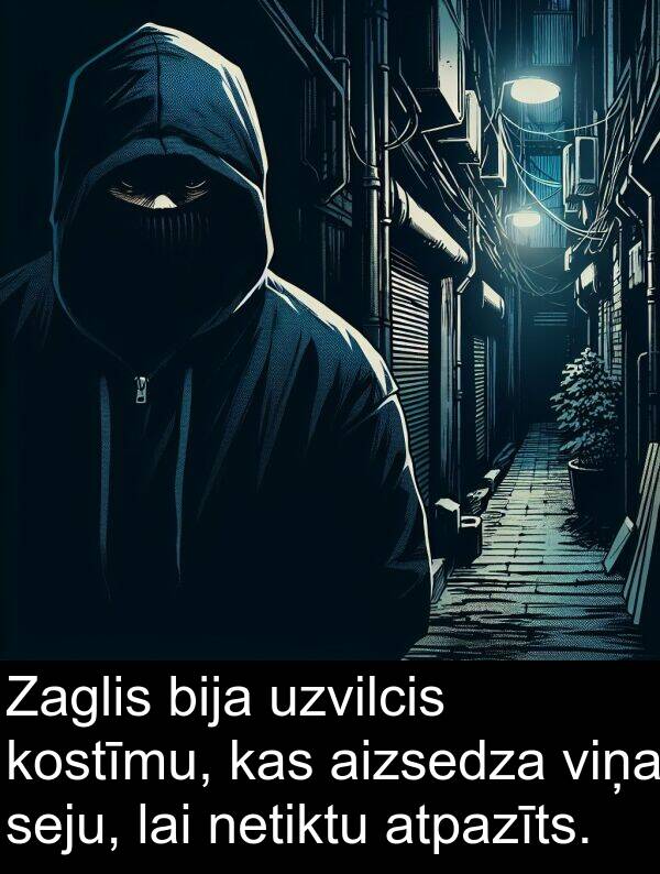 seju: Zaglis bija uzvilcis kostīmu, kas aizsedza viņa seju, lai netiktu atpazīts.