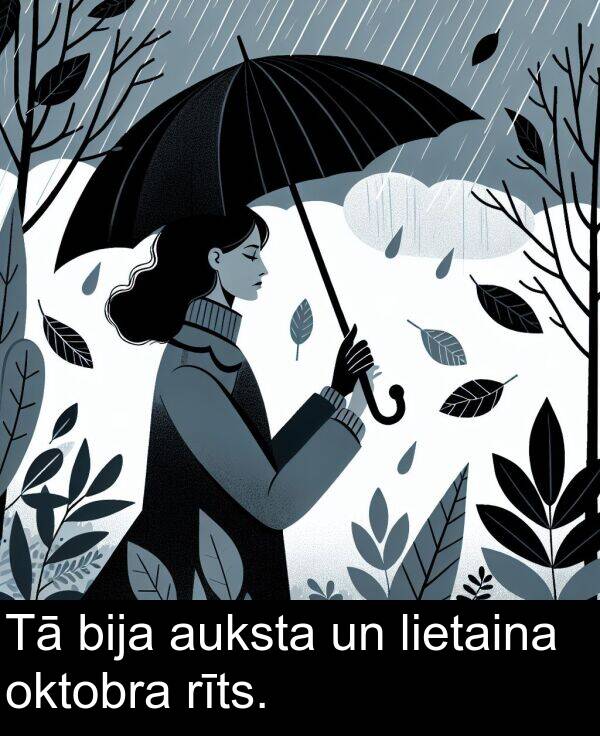 rīts: Tā bija auksta un lietaina oktobra rīts.