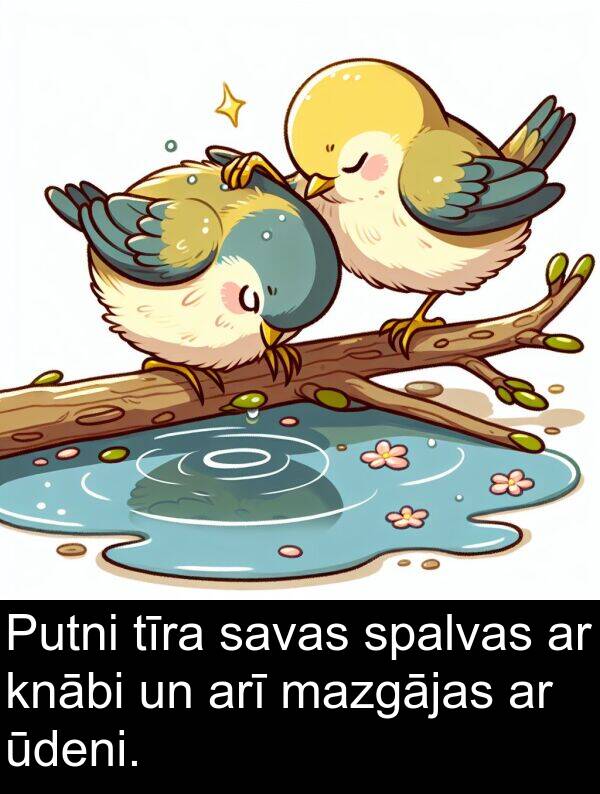 ūdeni: Putni tīra savas spalvas ar knābi un arī mazgājas ar ūdeni.