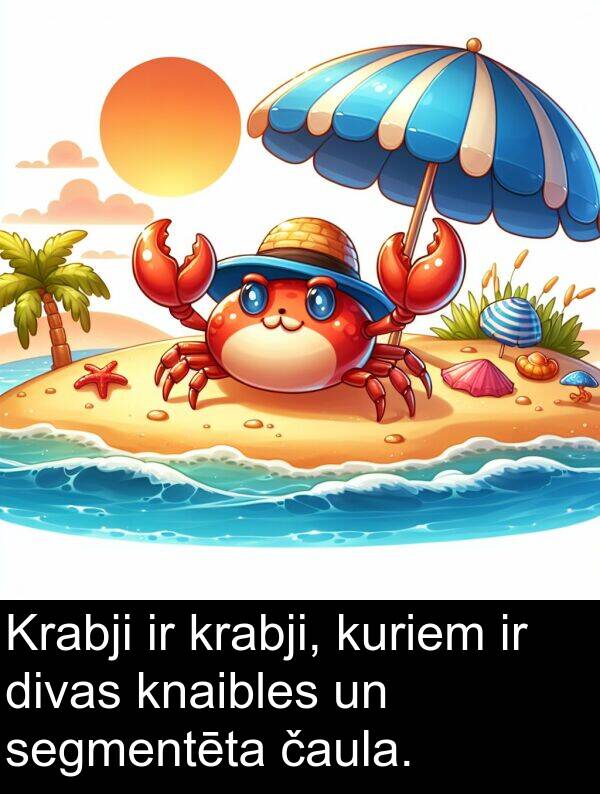 kuriem: Krabji ir krabji, kuriem ir divas knaibles un segmentēta čaula.