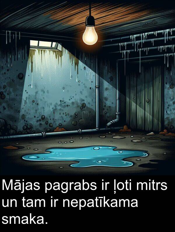 pagrabs: Mājas pagrabs ir ļoti mitrs un tam ir nepatīkama smaka.