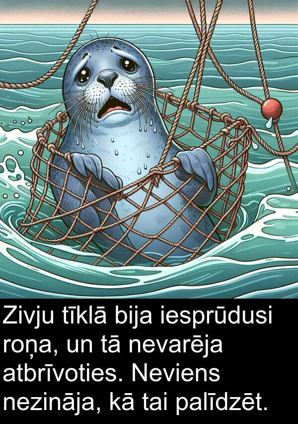 roņa: Zivju tīklā bija iesprūdusi roņa, un tā nevarēja atbrīvoties. Neviens nezināja, kā tai palīdzēt.